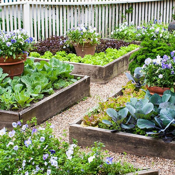garden