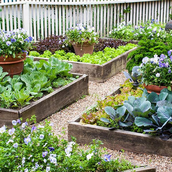 garden